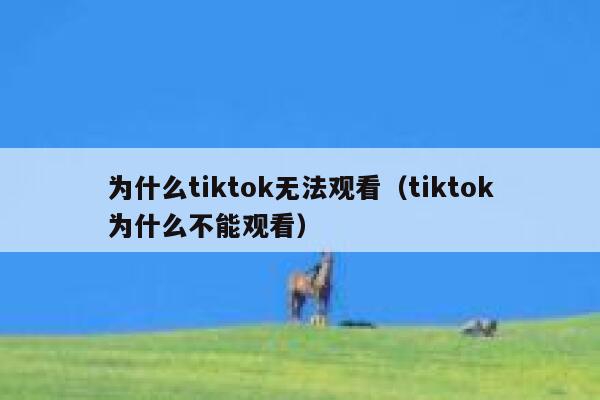 为什么tiktok无法观看（tiktok为什么不能观看） 第1张