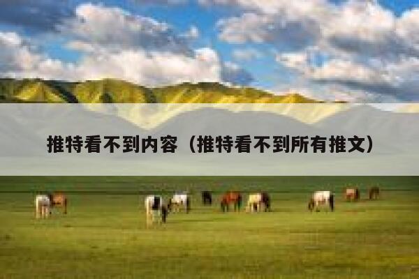 推特看不到内容（推特看不到所有推文） 第1张