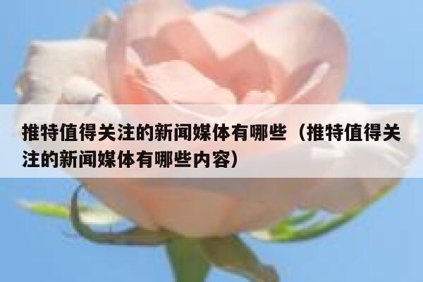 推特值得关注的新闻媒体有哪些（推特值得关注的新闻媒体有哪些内容） 第1张
