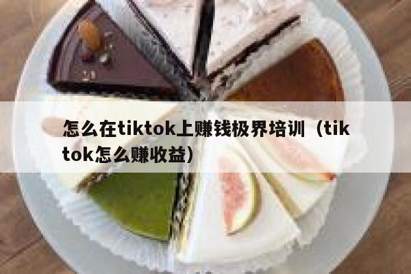 怎么在tiktok上赚钱极界培训（tiktok怎么赚收益） 第1张