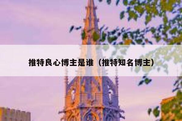 推特良心博主是谁（推特知名博主） 第1张