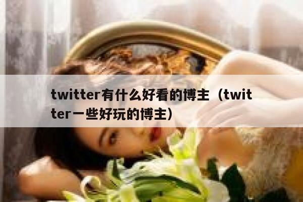 twitter有什么好看的博主（twitter一些好玩的博主） 第1张