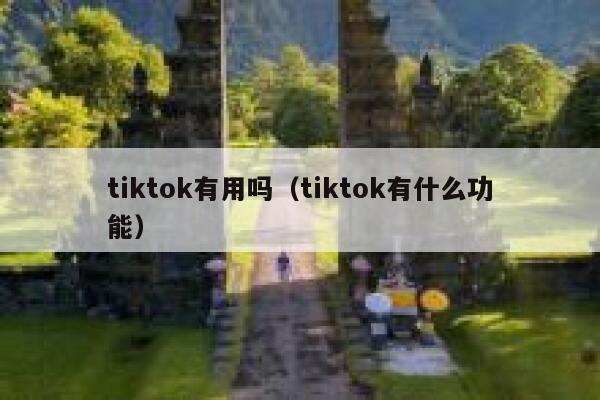 tiktok有用吗（tiktok有什么功能） 第1张