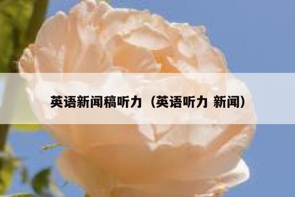 英语新闻稿听力（英语听力 新闻） 第1张