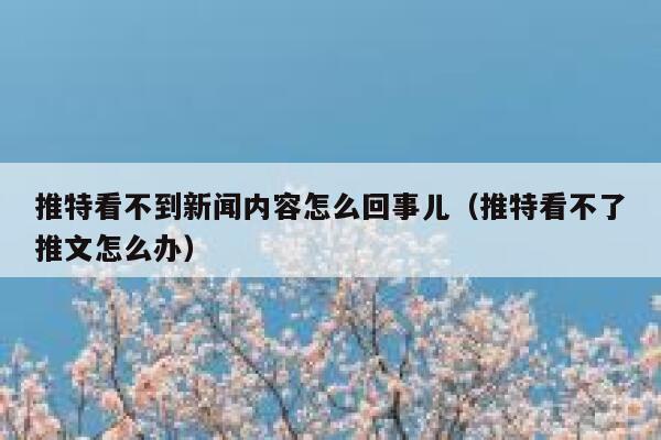 推特看不到新闻内容怎么回事儿（推特看不了推文怎么办） 第1张