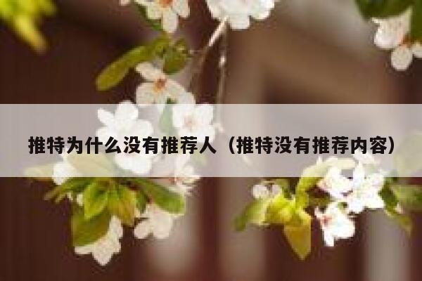 推特为什么没有推荐人（推特没有推荐内容） 第1张