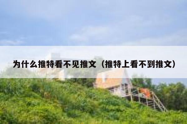 为什么推特看不见推文（推特上看不到推文） 第1张