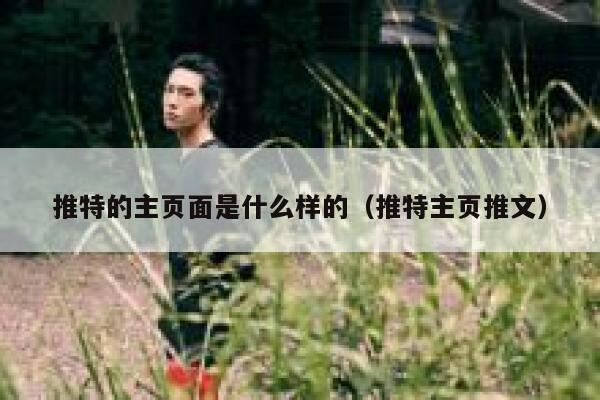 推特的主页面是什么样的（推特主页推文） 第1张