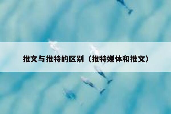 推文与推特的区别（推特媒体和推文） 第1张
