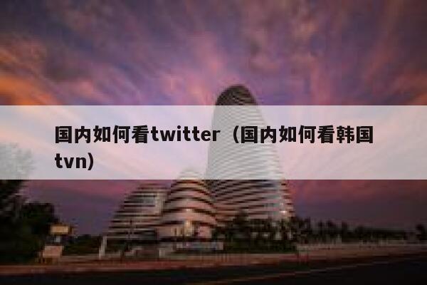 国内如何看twitter（国内如何看韩国tvn） 第1张