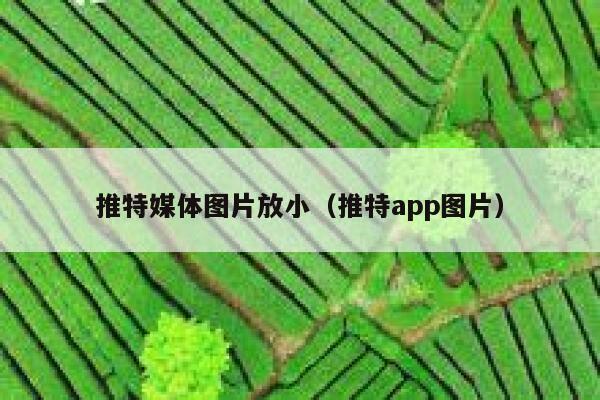 推特媒体图片放小（推特app图片） 第1张