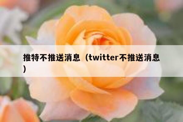 推特不推送消息（twitter不推送消息） 第1张