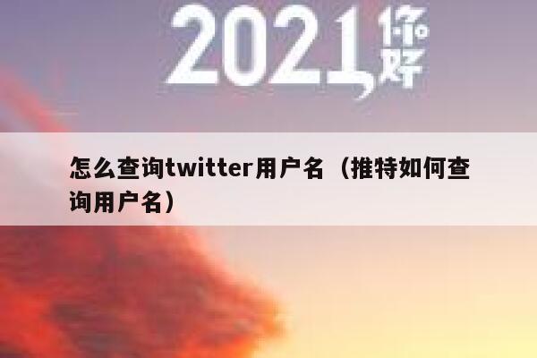 怎么查询twitter用户名（推特如何查询用户名） 第1张