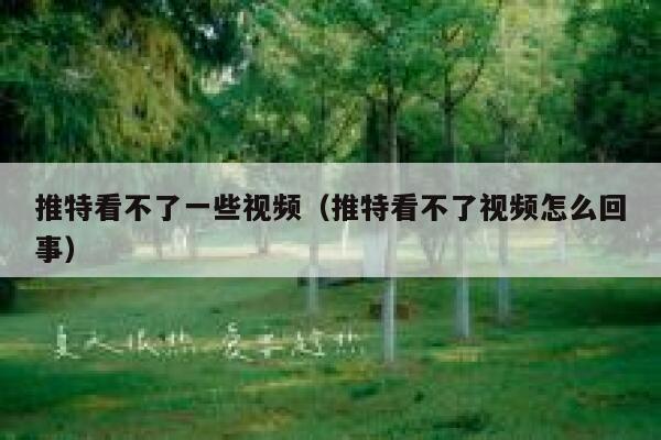 推特看不了一些视频（推特看不了视频怎么回事） 第1张