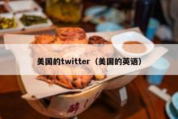 美国的twitter（美国的英语） 第1张