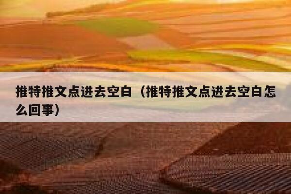 推特推文点进去空白（推特推文点进去空白怎么回事） 第1张