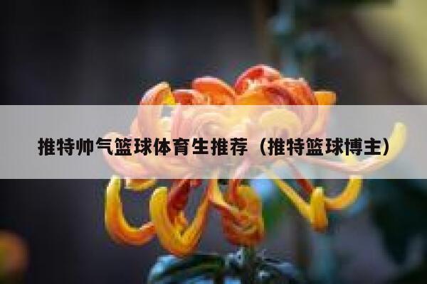 推特帅气篮球体育生推荐（推特篮球博主） 第1张