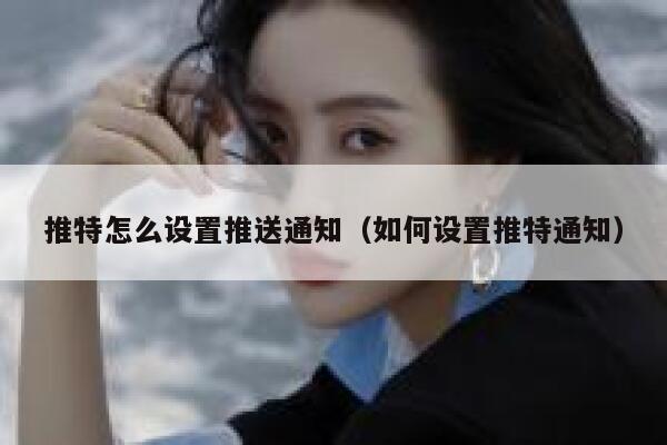 推特怎么设置推送通知（如何设置推特通知） 第1张