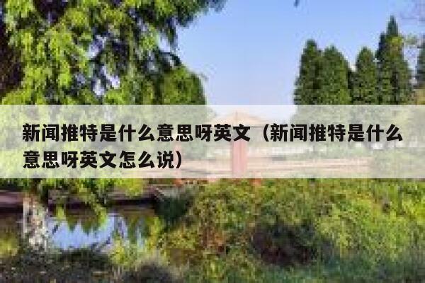 新闻推特是什么意思呀英文（新闻推特是什么意思呀英文怎么说） 第1张