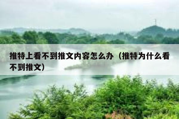 推特上看不到推文内容怎么办（推特为什么看不到推文） 第1张