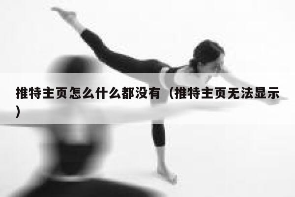 推特主页怎么什么都没有（推特主页无法显示） 第1张
