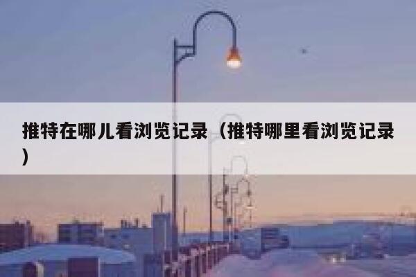 推特在哪儿看浏览记录（推特哪里看浏览记录） 第1张