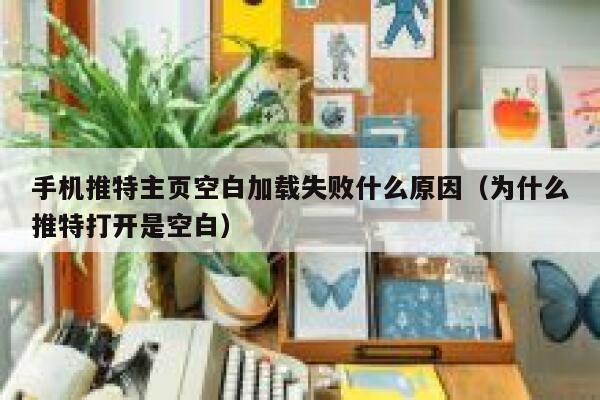 手机推特主页空白加载失败什么原因（为什么推特打开是空白） 第1张