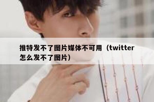 推特发不了图片媒体不可用（twitter怎么发不了图片） 第1张