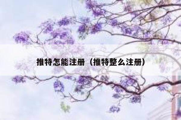 推特怎能注册（推特整么注册） 第1张