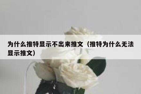 为什么推特显示不出来推文（推特为什么无法显示推文） 第1张