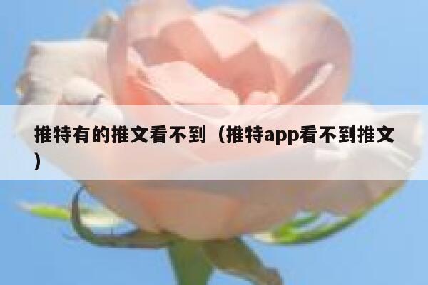 推特有的推文看不到（推特app看不到推文） 第1张