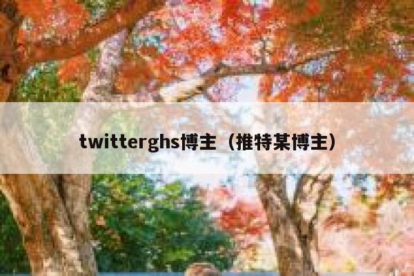 twitterghs博主（推特某博主） 第1张