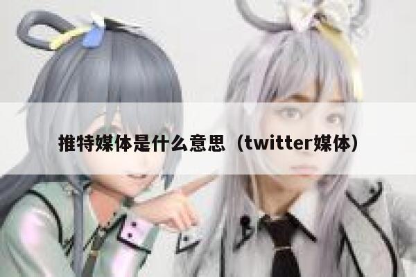 推特媒体是什么意思（twitter媒体） 第1张