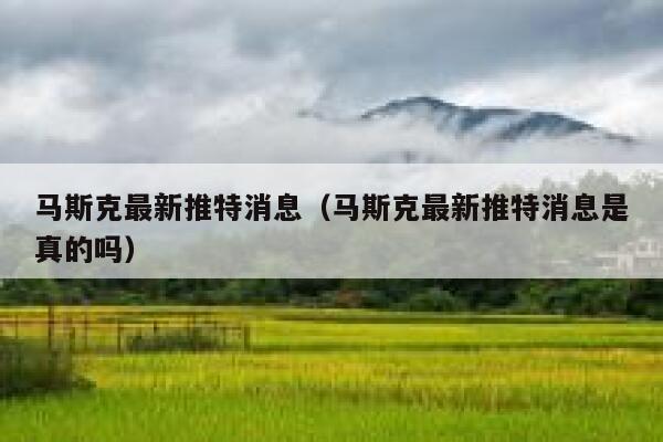 马斯克最新推特消息（马斯克最新推特消息是真的吗） 第1张