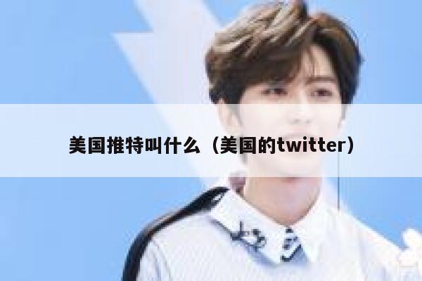 美国推特叫什么（美国的twitter） 第1张
