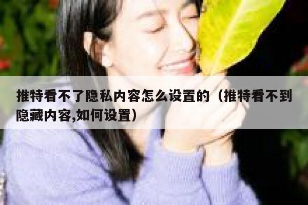 推特看不了隐私内容怎么设置的（推特看不到隐藏内容,如何设置） 第1张