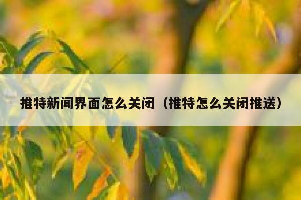 推特新闻界面怎么关闭（推特怎么关闭推送） 第1张