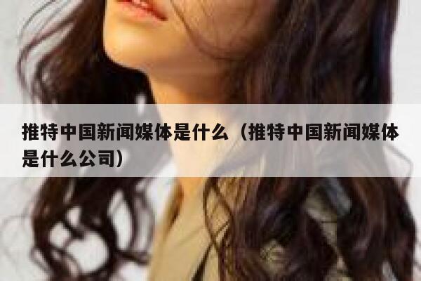 推特中国新闻媒体是什么（推特中国新闻媒体是什么公司） 第1张