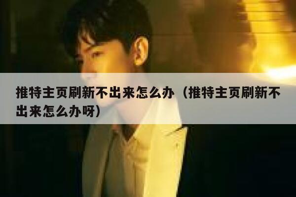 推特主页刷新不出来怎么办（推特主页刷新不出来怎么办呀） 第1张