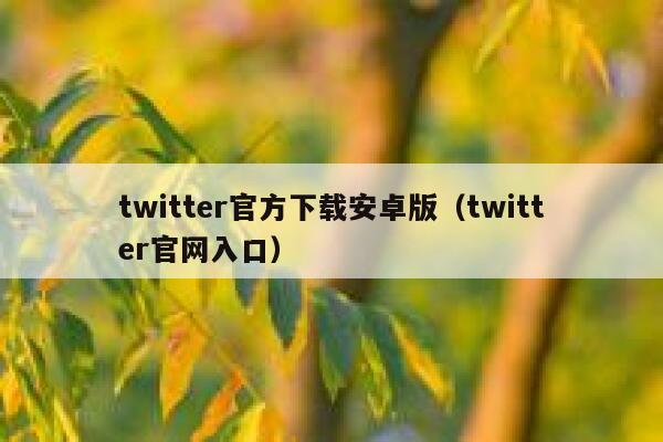 twitter官方下载安卓版（twitter官网入口） 第1张