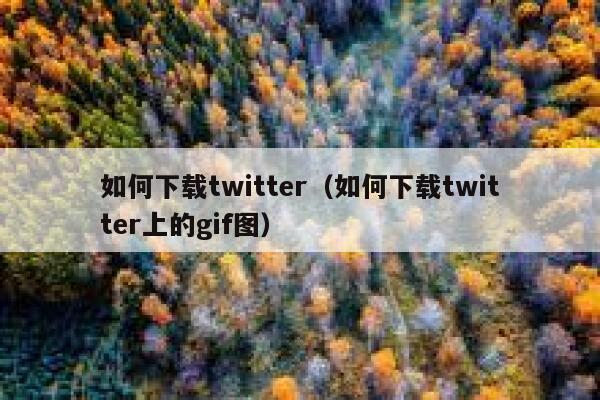 如何下载twitter(如何下载twitter上的gif图) 第1张 如何下载twitter(如何下载twitter上的gif图) 第1张