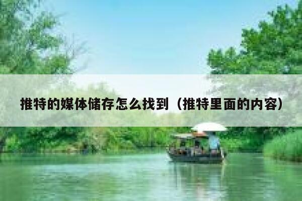 推特的媒体储存怎么找到（推特里面的内容） 第1张