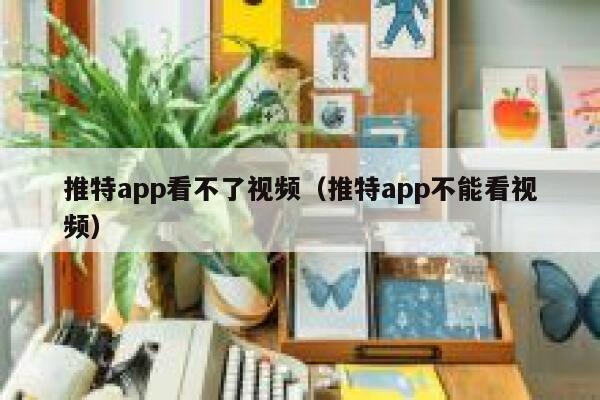 推特app看不了视频（推特app不能看视频） 第1张