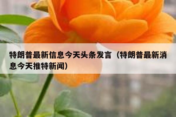 特朗普最新信息今天头条发言（特朗普最新消息今天推特新闻） 第1张