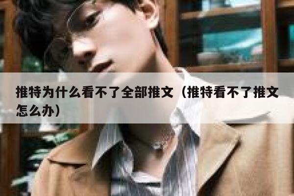 推特为什么看不了全部推文（推特看不了推文怎么办） 第1张