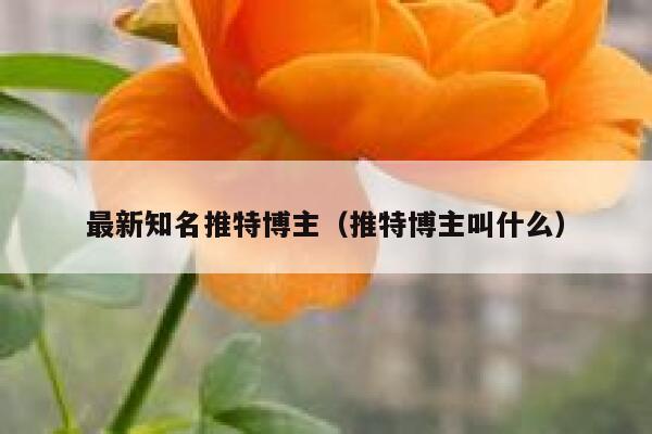最新知名推特博主（推特博主叫什么） 第1张