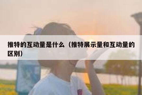 推特的互动量是什么（推特展示量和互动量的区别） 第1张