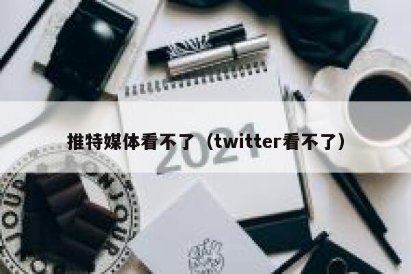 推特媒体看不了（twitter看不了） 第1张