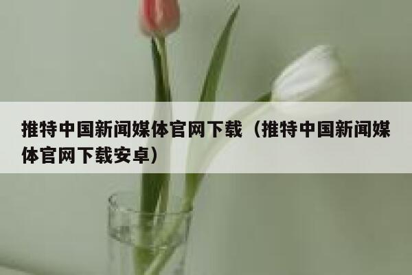 推特中国新闻媒体官网下载（推特中国新闻媒体官网下载安卓） 第1张