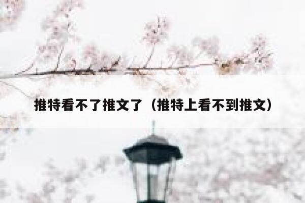 推特看不了推文了（推特上看不到推文） 第1张